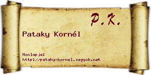 Pataky Kornél névjegykártya