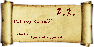 Pataky Kornél névjegykártya